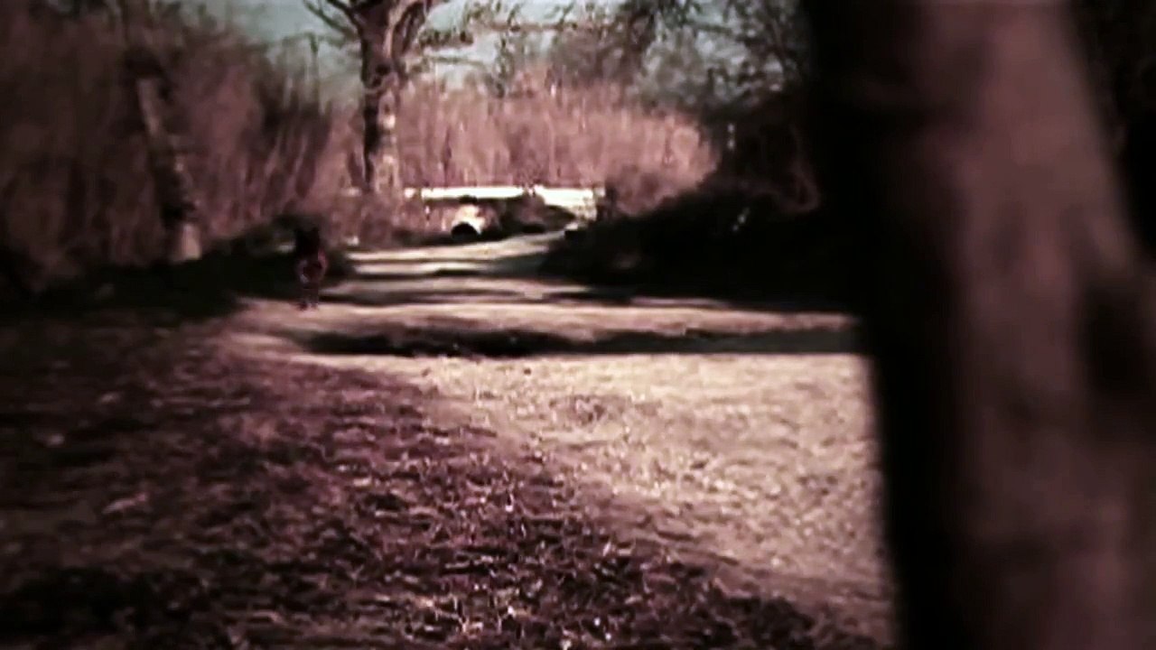 Un chien boxer qui court en slowmotion HD