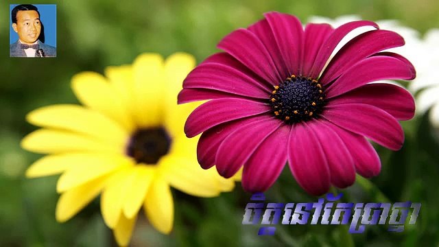 khmer song - sin sisamuth song - Chit Nov Te Kit Prathna(ចិត្តនៅតែគិតប្រាថ្នា)