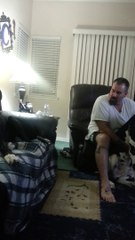 Spoiled Great Dane Adorably Argues With Owner