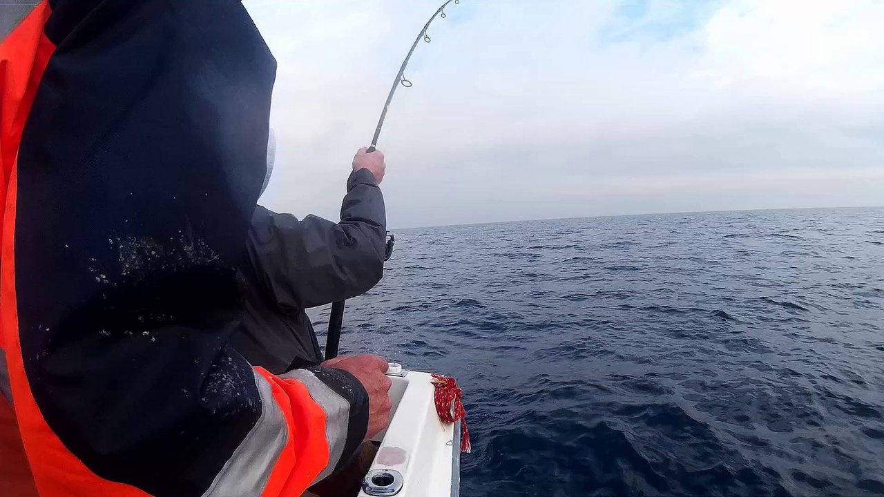 Silure Club Rhodanien : Journée pêche au thon Vidéo 6