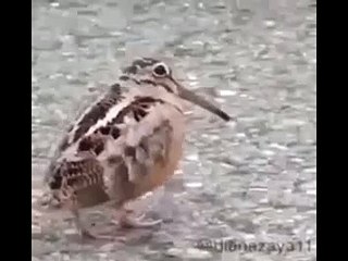 Paas Wo Aane Lage Jara Jara Sachiii Muchiii