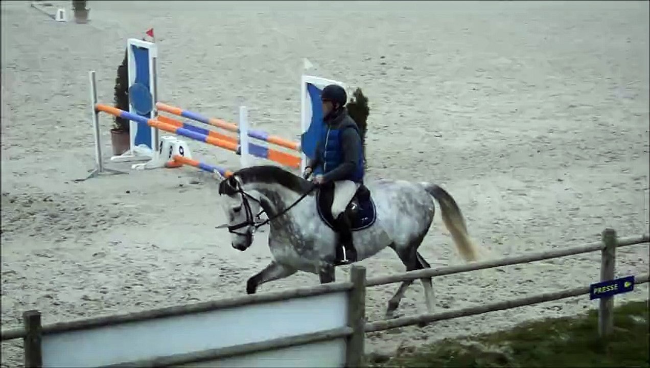 Dapreinus - 13/12/2015