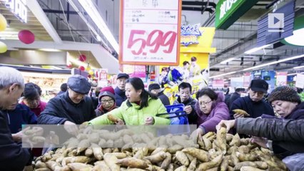China economy shows signs of steadying, more policy support needed