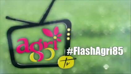 #FlashAgri85 du lundi 14 décembre 2015