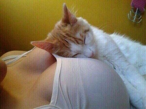 Девушка выбросилась из окна троллейбуса в Минске!!!