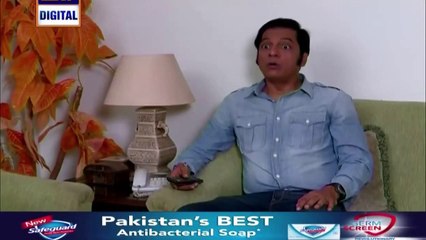 Bulbulay Episode 377 on Ary Digital