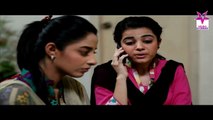 100 Din Ki Kahani Episode 14 HUMSITARAY TV Drama 13 Dec 2015