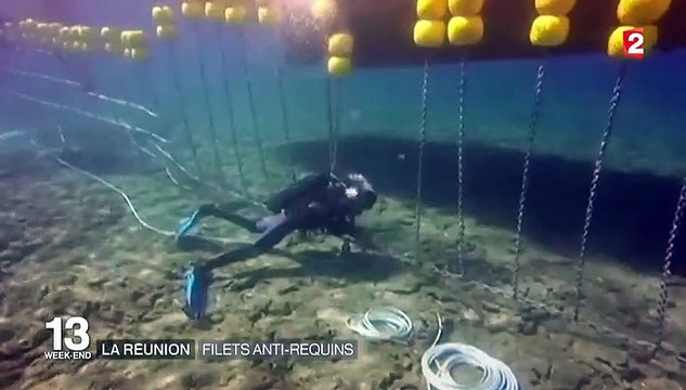 Ile de la Réunion : des filets pour lutter contre les requins