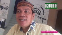 Ikan Sidat Bisa Hidup di Air Laut Maupun Tawar (DR. Ir. Samliok Ndobe, M.Si)