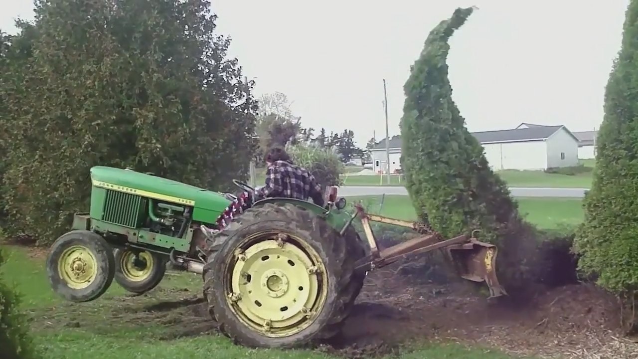 When Trees Don't Want To Be Hugged