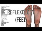 Foot Reflexology - Quiz