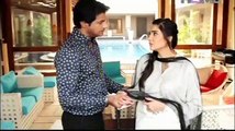 Zindagi Mujhey Tera Pata Chahiye PTV Drama 24th November 2015