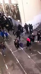 Un sanglier à l'intérieur d'un lycée à Alger