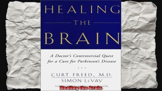 Healing the Brain