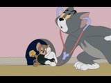 Tom and Jerry Cartoon Full Episodes in English 2016 | Tom and Jerry Full Episodes English