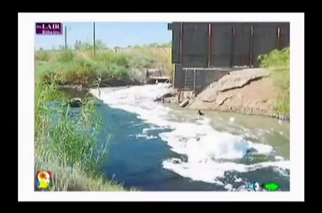 PALESTRA COM Dr LAIR RIBEIRO   A VERDADE SOBRE OS REMEDIOS