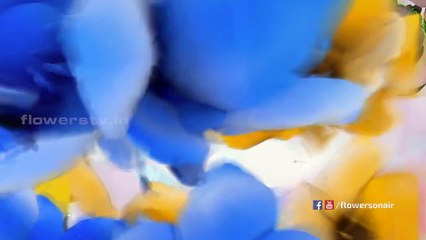 Star life | Prithviraj | Nov14 | EP#30 | Gnrl Promo