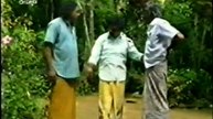 Patalevilla - 3.2