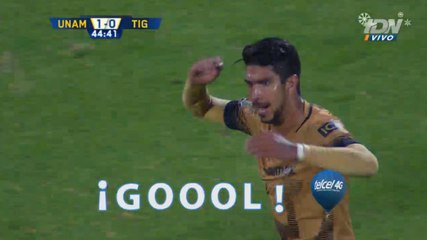 Скачать видео: GOL Eduardo Herrera - PUMAS VS TIGRES 1-0 GOL FINAL VUELTA Liga MX Apertura 2015 [HD]