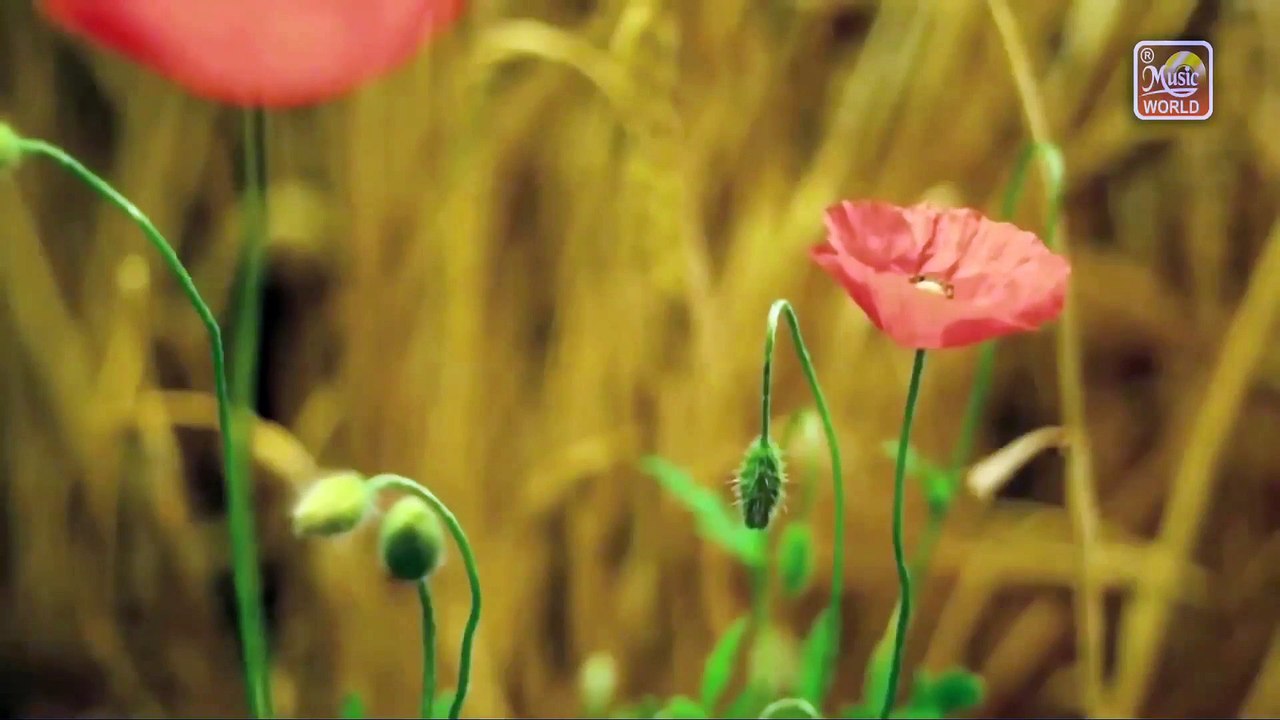 Reham Karo Hamad-E-Bari Tala | Shahida Mini | Presented By Khaliq Chishti