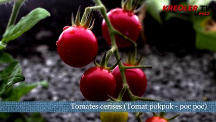 Destination Île de la Réunion - La tomate poc poc.