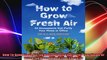 How To Grow Fresh Air 50 Houseplants That Purify Your Home Or Office 50 Houseplants That