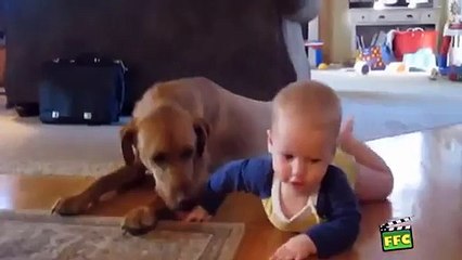 ЭТО нужно показывать по ТВ каждый ДЕНЬ