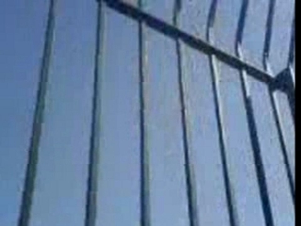 MOV00005