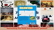 Read  All About Drawing Horses  Pets Learn to draw more than 35 fantastic animals step by step PDF Free