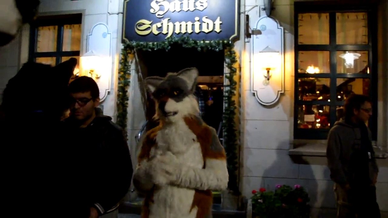 Dortmund Furmeet 21.11.2015