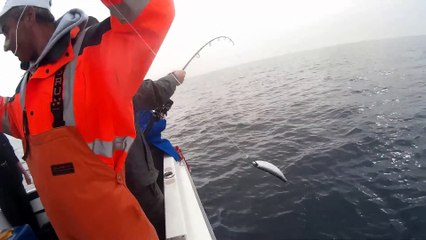 Silure Club Rhodanien : Journée pêche au thon Vidéo 9