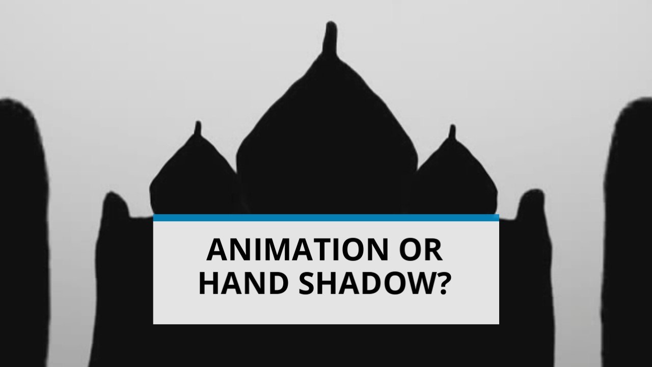 Shadows meet digital art: Spectacular Handshadowgraphy