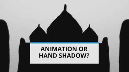 Shadows meet digital art: Spectacular Handshadowgraphy