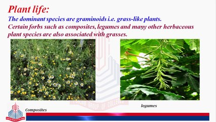 The Grass land Ecosystem