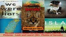 Read  Servals Learn About Servals and Enjoy Colorful Pictures  Look and Learn 50 Photos of Ebook Free