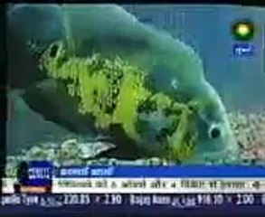 Wah Allah Ki Nemat HD