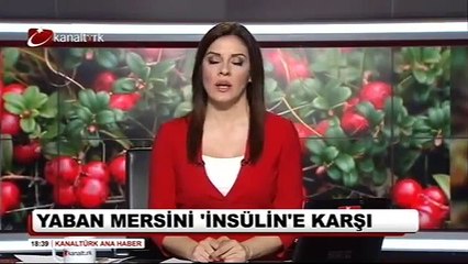 Şeker Hastalığına Karşı Yaban Mersini - Dyt. Tuba Kayan Tapan