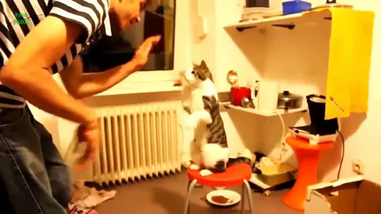 ゲーム猫の手