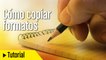 Tutorial Word en español: Cómo copiar formatos