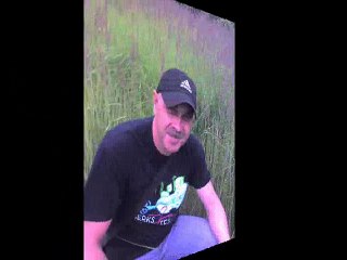 Весенний блюз