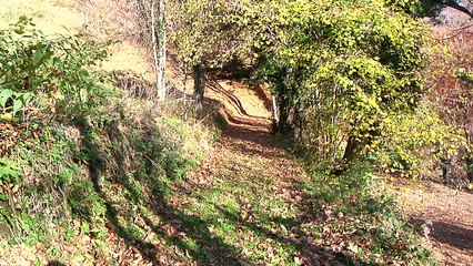 C'EST PAS MAL CHEZ VOUS - PROVEYZIEUX
