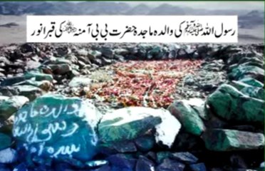 Dr Muhammad Tahir Ul Qadri -> Great Clip Of Arabic