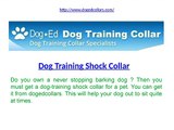 electric dog collar reviews