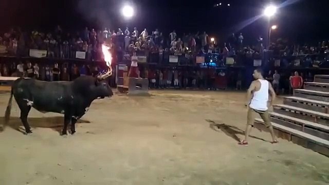 Бык обдумал удар и нанес его . Жесть!