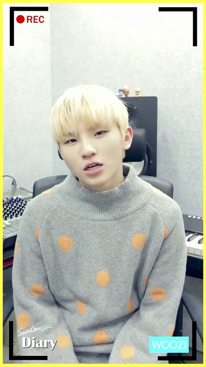 woozi diary 3