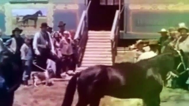 ⒹⒺⓈⓈⒾⓃ ⒶⓃⒾⓂé ⒸⓄⓂⓅⓁⒺⓉ en Francais Walt ⒹⒾⓈⓃⒺⓎ 2015 Nouveauté (ⒻⒾⓁⓂadi) ⒻⒾⓁⓂ ⒸⓄⓂⓅⓁⒺⓉ ⓋⒾⒹéⓄ