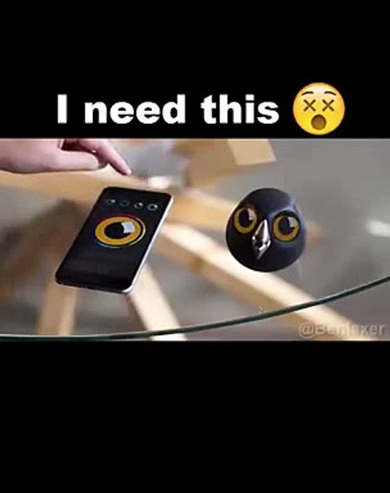 I need this Owl