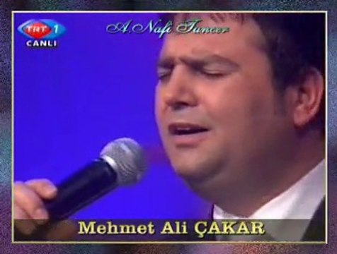M.Ali ÇAKAR-Hastane Önünde İncir Ağacı