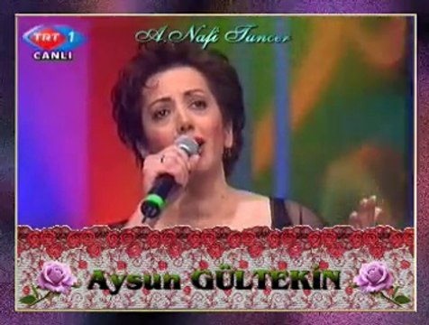 Aysun GÜLTEKİN-Kalenin Dibinde Bir Taş Olaydım (4)
