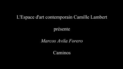 Caminos Marcos Avila Forero